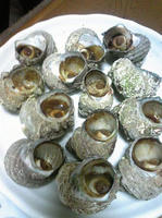 110403_2.jpg