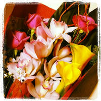 20120218_2.jpg