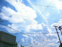 NEC_0186.jpg