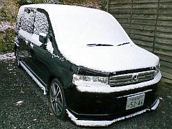 307d4ccbjpeg