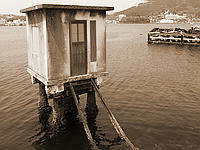 P50900422.jpg