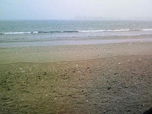 NEC_0018.jpg