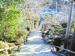 NEC_0206.jpg