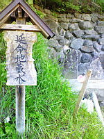 NEC_0370.jpg