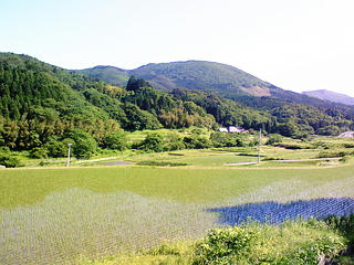 NEC_0371.jpg