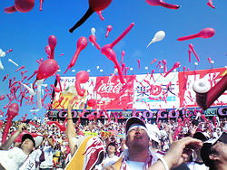 NEC_0499.jpg