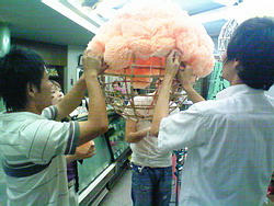 NEC_0015.jpg