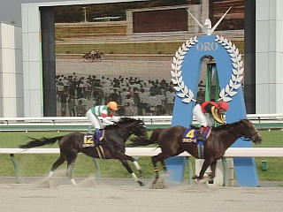 080720-21_MercuryCup.jpg