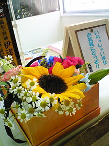 NEC_0567.jpg