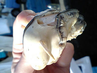 CA340078.jpg