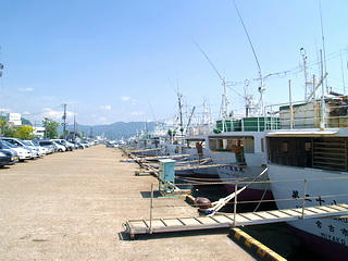 0_miniP1263507.jpg