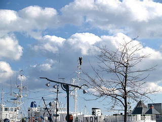 2_miniP1263506.jpg