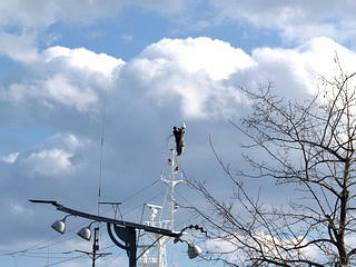3_miniP1263506b.jpg