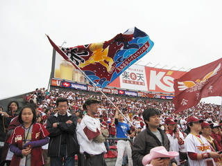 IMG_1233.jpg