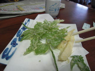 DSCN0526.jpg