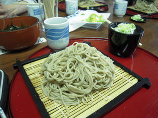 DSCN0528.jpg
