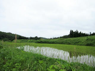 IMG_1884.jpg
