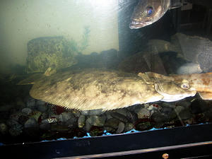 IMG_2003.jpg