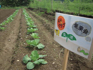 DSCN0547.jpg