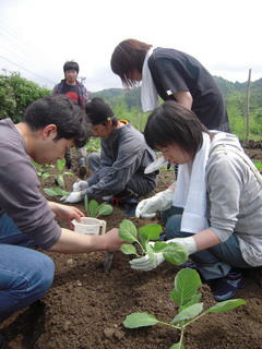 DSCN0550.jpg