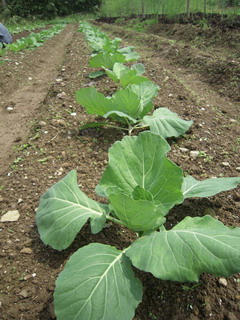 DSCN0551.jpg