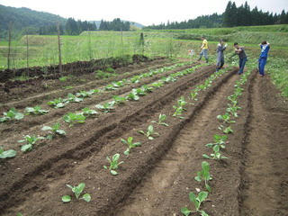 DSCN0554.jpg