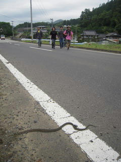 DSCN0581.jpg