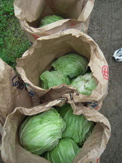 DSCN0714.jpg