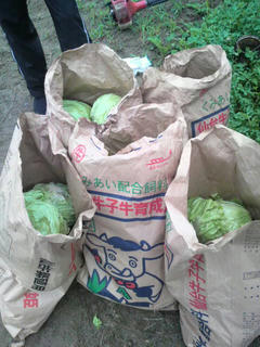 P1000162.jpg