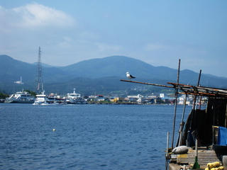 IMG_2671.jpg