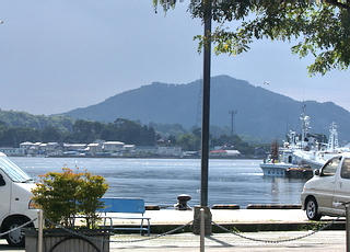 miniP8295562.jpg