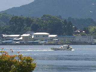 P8295565a.jpg