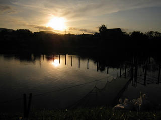 IMG_2992.jpg
