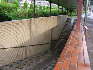 RIMG0032.jpg