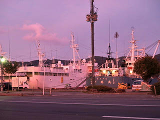 miniPA246175.jpg