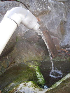 DSCN1541.jpg