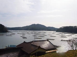 karakuwa_1.jpg
