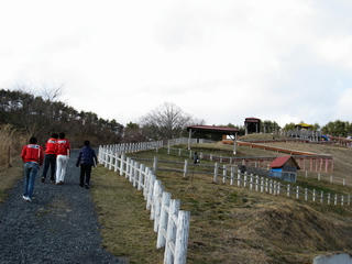 IMG_4700.jpg