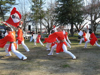 IMG_4923.jpg