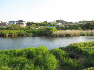 IMG_5205.jpg