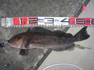 IMG_5861.jpg