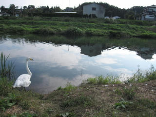 IMG_6163.jpg