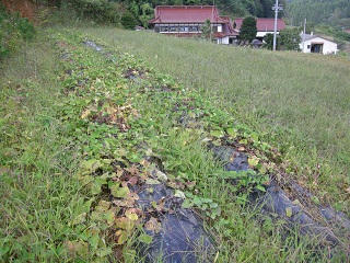 DSCN6974.jpg