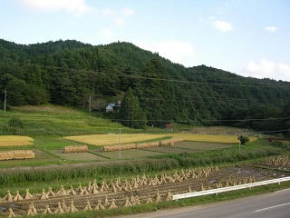 DSCN6975.jpg