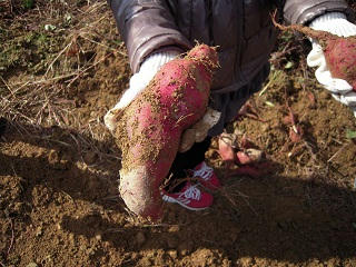 DSCN3261.JPG
