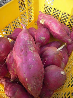 DSCN3311.JPG