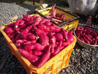 DSCN3312.JPG
