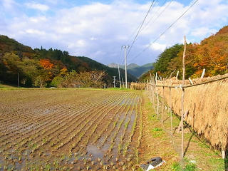 RIMG2075.jpg