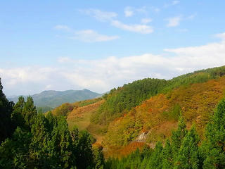 RIMG2093.jpg