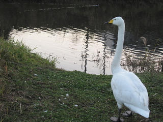 IMG_6450.jpg